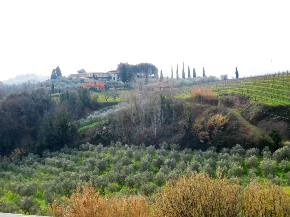 Agriturismo Terre Di Toscana Terricciola المظهر الخارجي الصورة