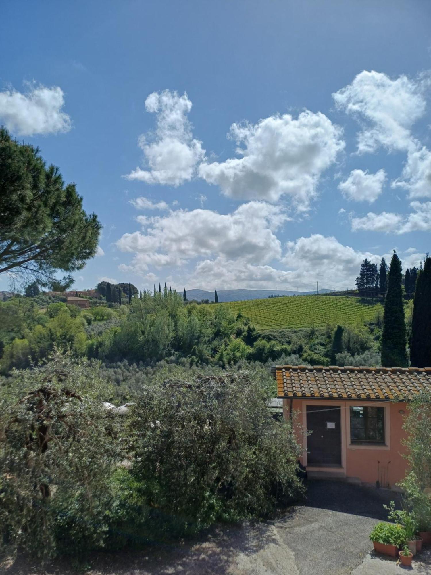 Agriturismo Terre Di Toscana Terricciola المظهر الخارجي الصورة